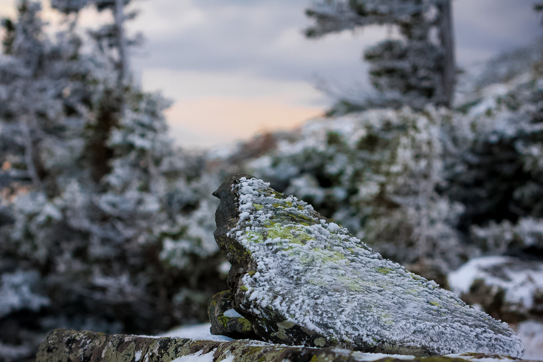 Челябинский фотограф показал красоту уральской зимы