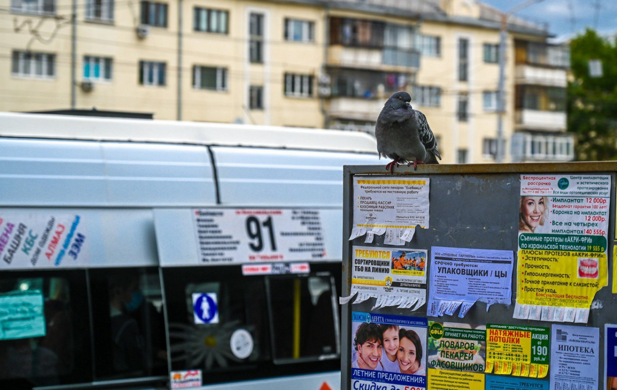Челябинка пожаловалась на странное поведение водителей маршрутки №91*1