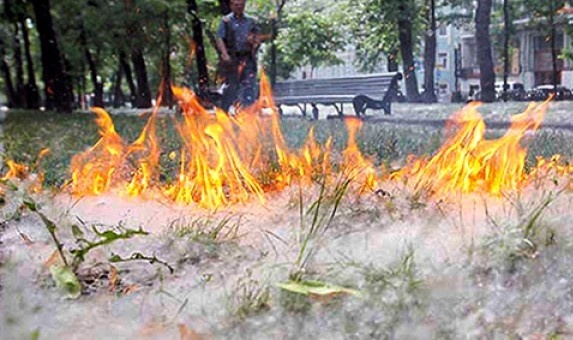 Сотрудники Челябинского зоопарка показали, как тушили крупный пожар