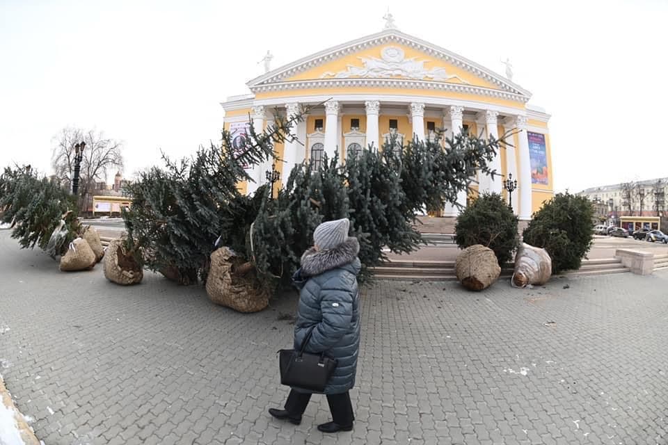Челябинского урбаниста взбесили городские ёлки