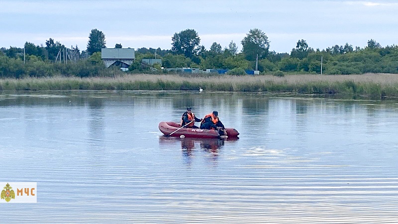 В Челябинской области двое мужчин утонули в пруду, спасая лебедей