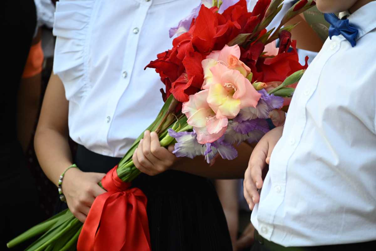 В Челябинской области линейки 1 сентября проведут только для трёх классов*
