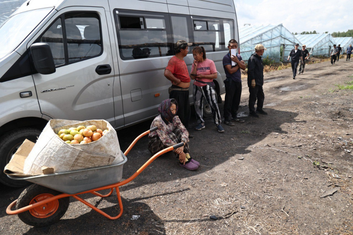 Мигранты Челябинской области попадут под «Высылку»*1
