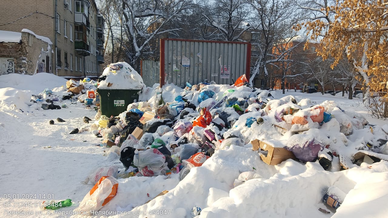 Проверить новогодний мечталион