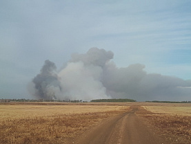 В Челябинской области потушили крупный лесной пожар