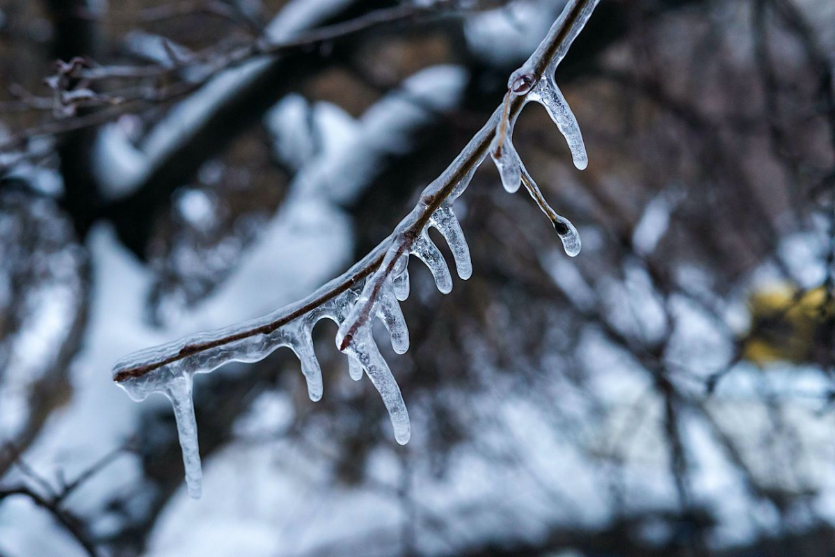 В Челябинской области оценили ситуацию с ОРВИ и гриппом*