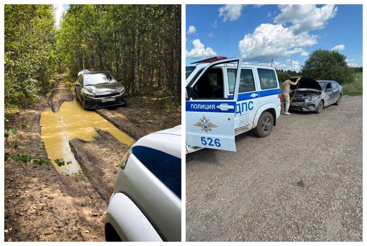 Водитель доверился навигатору и намертво застрял в лесу под Каслями*