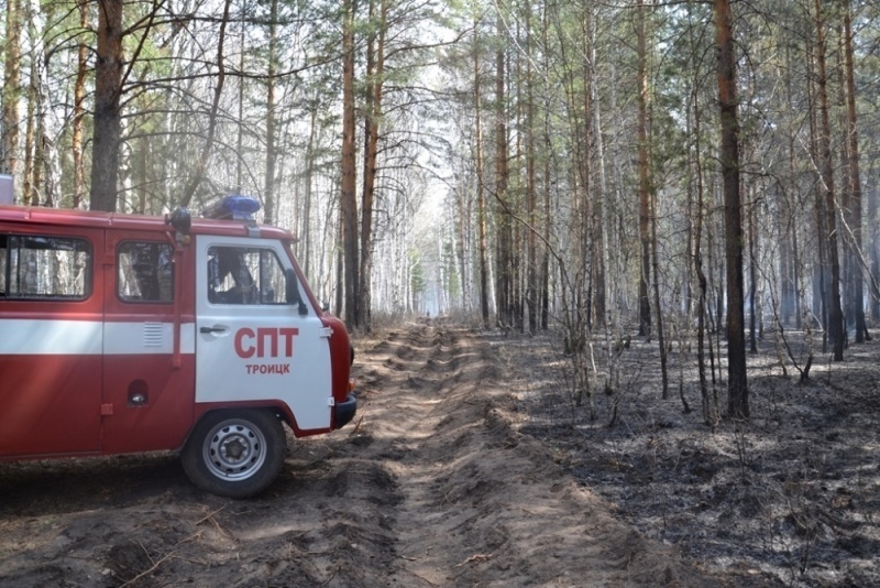 В Октябрьском районе лес загорелся на площади в 60 гектаров