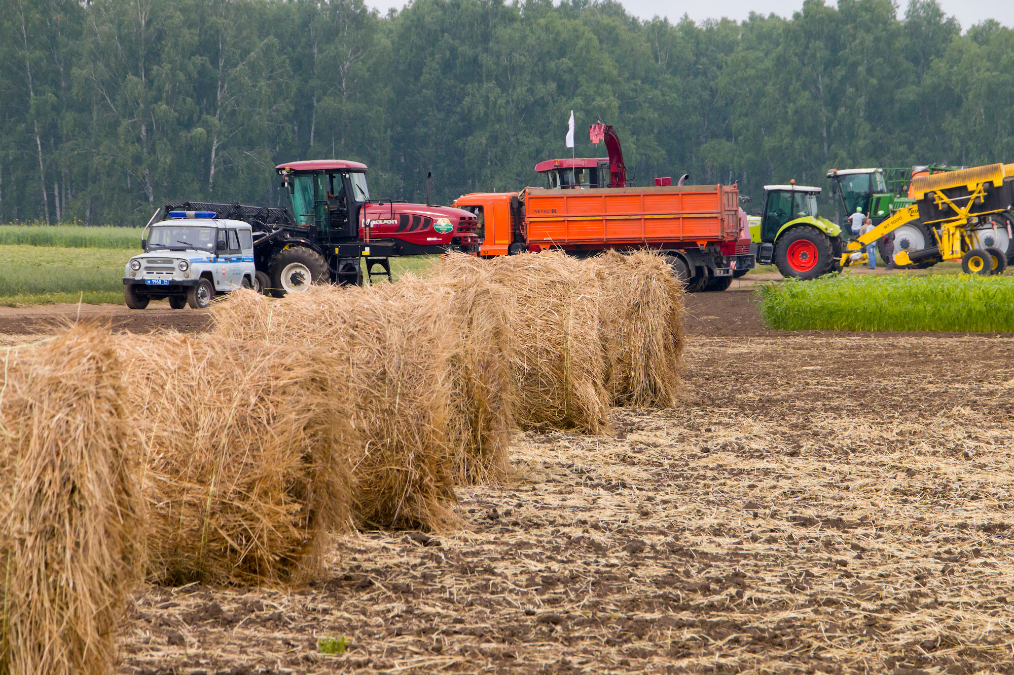 Соотечественники выбирают Челябинскую область для переезда из-за ее успехов в сельском хозяйстве*1