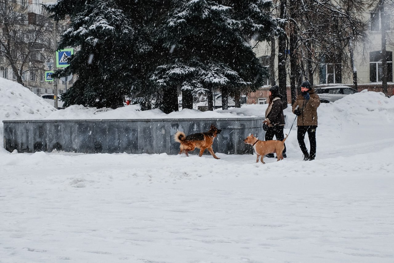 Снежное начало недели: Челябинск превратился в белый мегаполис