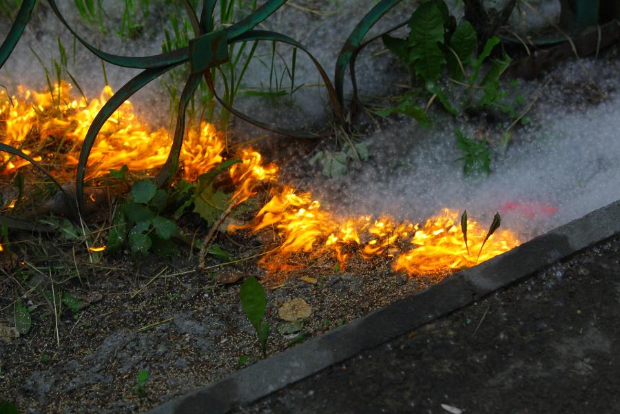 Крупный пожар из-за тополиного пуха произошел в Челябинске*1
