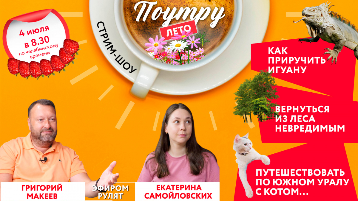 Челябинцам расскажут про кота-путешественника и домашнего дракона*