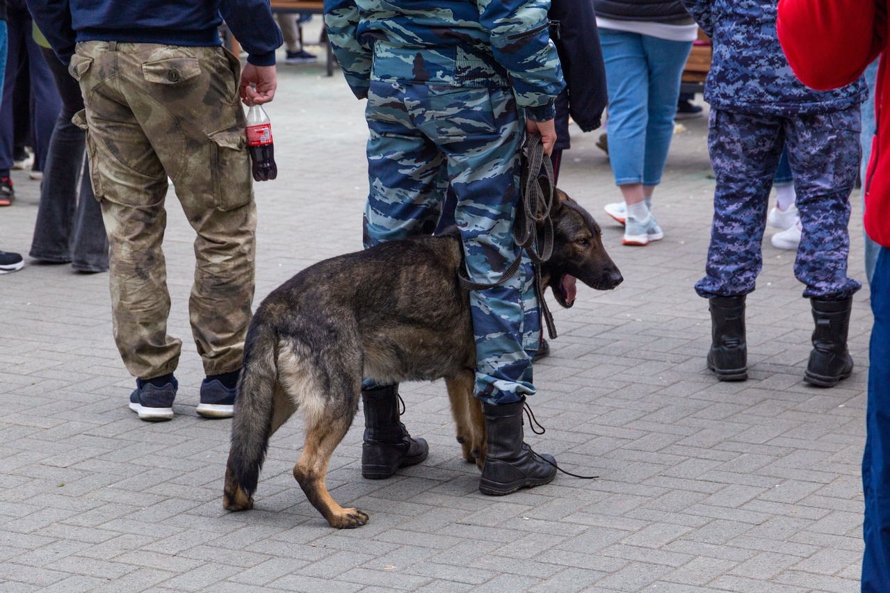 СК объяснил появление уголовного дела по пропаже челябинского подростка*1