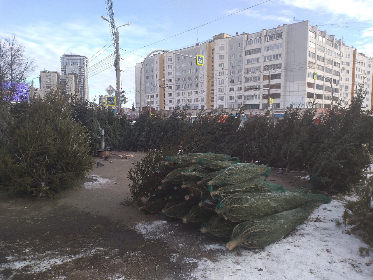 На онлайн-карте появились пункты приема новогодних елок в Челябинске*