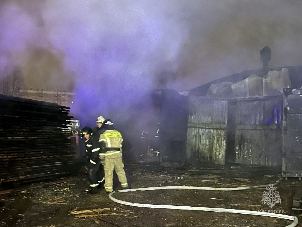 photo_2025-10-31_06-16-28.jpg photo_2025-10-31_06-16-28.jpg