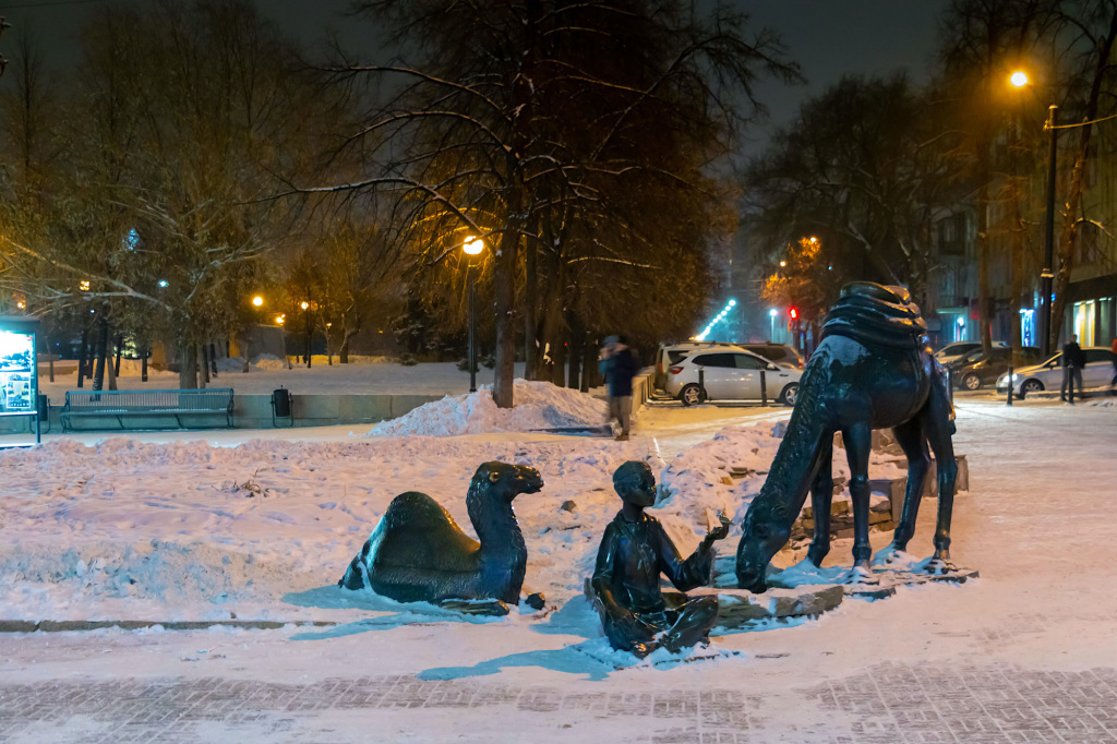 Верблюд на Кировке_Челябинск_фото Куткина (2).jpg