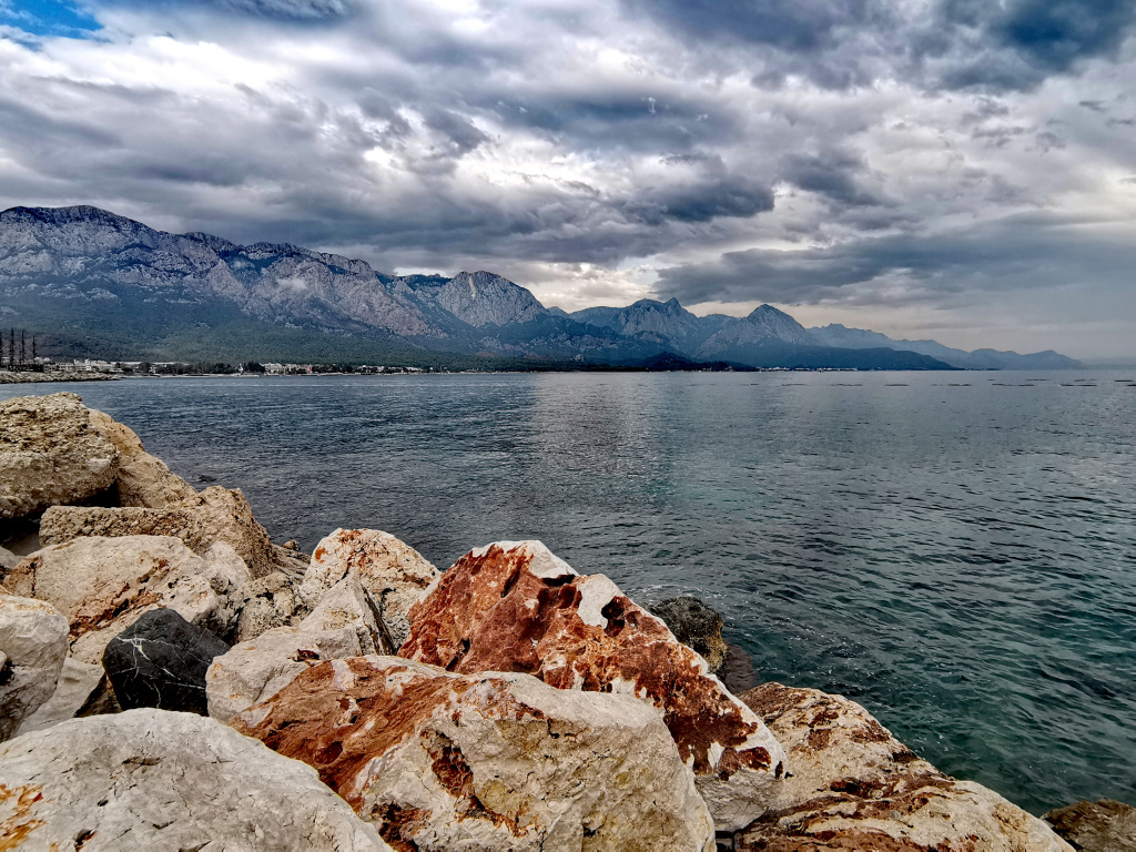 IMG_20251031_220816.jpg IMG_20251031_220816.jpg