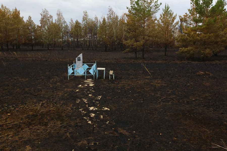 Последствия лесных пожаров на юге Челябинской области