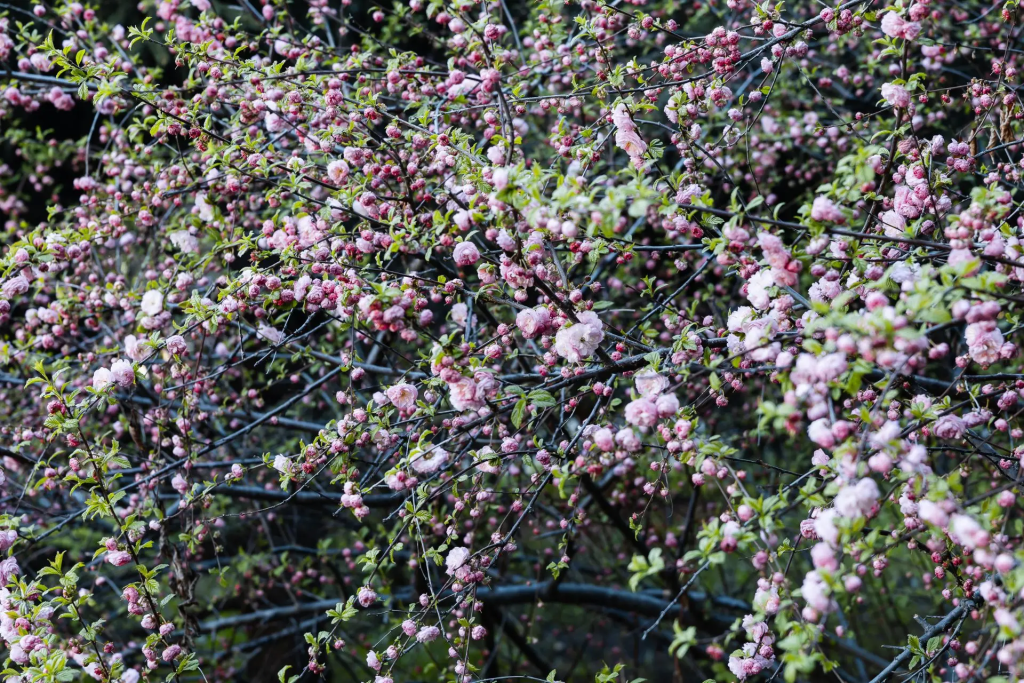IMG_20260507_090116.png