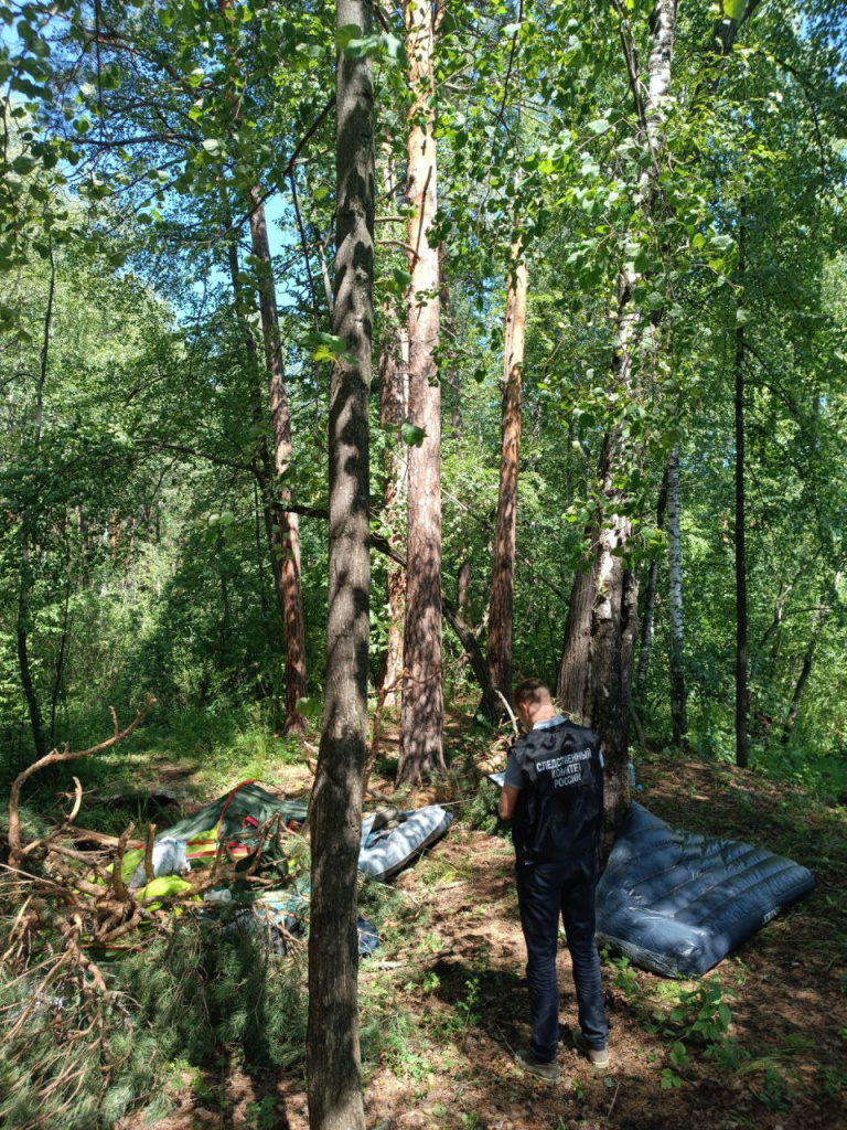 Упавшее дерево убило девятилетнюю девочку в Челябинской области │ Челябинск  сегодня