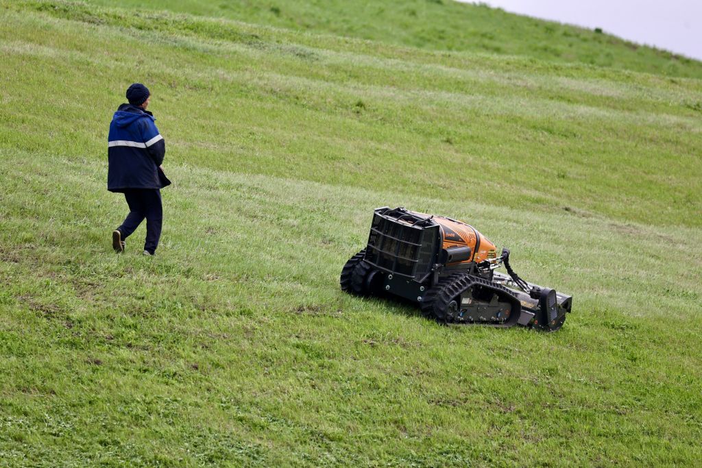 1024-683-max (2).jpg