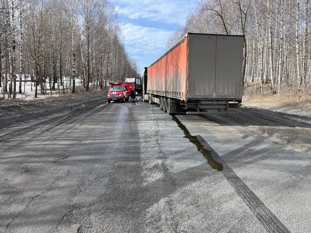 photo_2026-03-29_13-26-45.jpg photo_2026-03-29_13-26-45.jpg