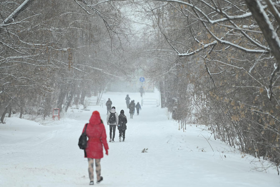 Челябинск окутало снежной сказкой