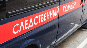 Челябинец с двойным гражданством подбивал людей на насилие в соцсетях