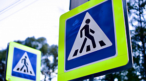 В Челябинске поймали водителя, чуть не сбившего детей на красный свет