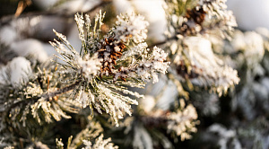 До Челябинска добралась непогода, «закрывшая» проезд по трассе М-5