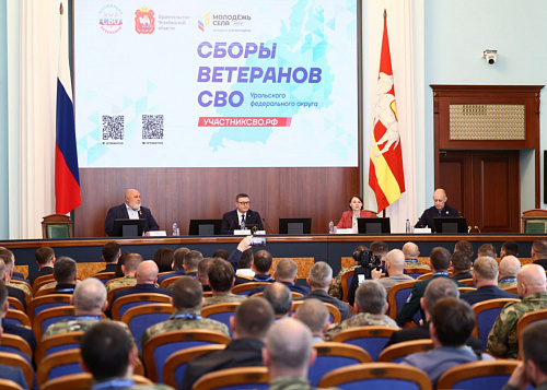 В Челябинске прошла сессия по поддержке ветеранов СВО на Урале