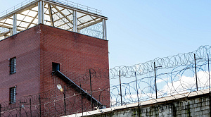 В Копейске мужчина зарядил арбалет наркотиком и прицелился в колонию