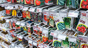 Подготовка к дачному сезону в Челябинске обойдётся в 26 тысяч рублей