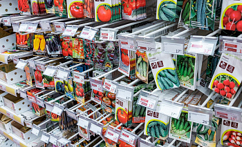 Подготовка к дачному сезону в Челябинске обойдётся в 26 тысяч рублей