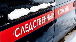 В Челябинске водитель автобуса высадил школьницу из-за неоплаченного проезда