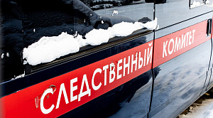 Суд арестовал 16-летнего челябинца за избиение сверстника в Чурилово