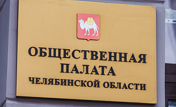 Челябинская Общественная палата и Госдума объединятся ради защиты детей