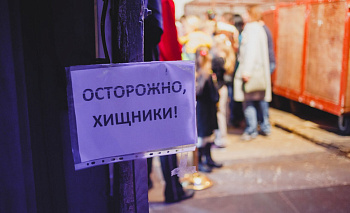 Решетки исчезли с вольеров больших кошек в Челябинском зоопарке