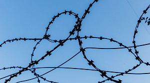 Хозяйку пансионата под Челябинском арестовали за обман бойцов СВО