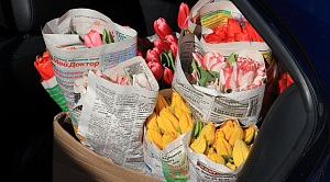 Бравые гусары и весенние тюльпаны: на ЮУЖД необычно поздравили автолюбительниц