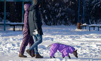 Следующие длинные выходные будут у челябинцев в феврале