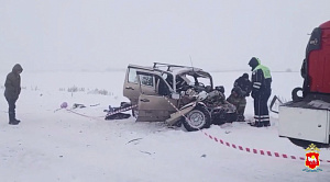 Три человека погибли при столкновении «Нивы» и фуры в Челябинской области