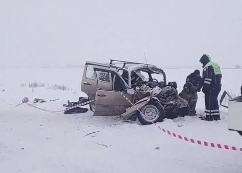 Три человека погибли при столкновении «Нивы» и фуры в Челябинской области