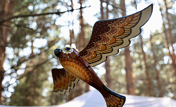 Лесной жених пришёл за любовью прямо в посёлок Большие Харлуши