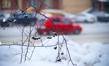 Морозы до -35 градусов задержатся в Челябинской области до конца недели