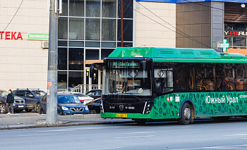 Челябинские пенсионеры-садоводы будут ездить на дачу с 50-процентной скидкой
