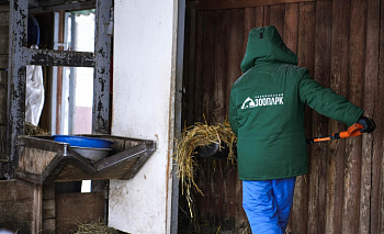 Челябинский зоопарк закрылся на санитарный день на неделю раньше