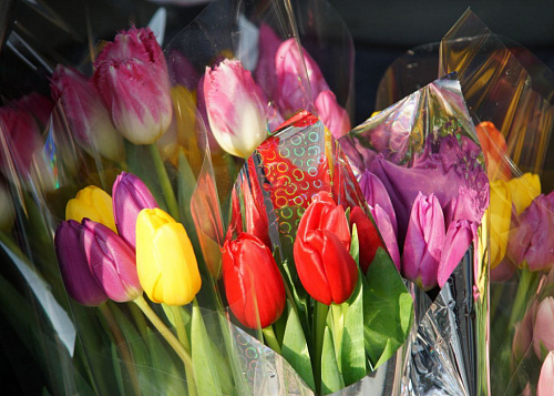 Свыше 12 миллионов заплатила челябинка за букет от мошенников