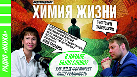 В начале было слово? Как язык формирует нашу реальность