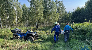 Туристка пострадала в аварии с квадроциклами в Челябинской области